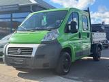 Fiat Ducato Pritsche Doppelk. 33 130 *HU/AU NEU* - Fiat Ducato: Kleinbus, Pritsche