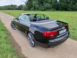 Audi A5 3.0 TDI 180kW S tr. quat. Cabriolet - - Audi A5: Cabrio, 3.0
