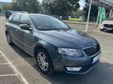 Skoda Octavia Combi (5E5)(01.2013->) Ambition - Skoda Octavia Ambition mit Diesel-Antrieb