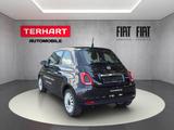 Fiat 500 1.0 Mild Hybrid/Park-Distance-Control/Apple& - gebrauchte Fiat Kleinwagen