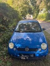 Volkswagen VW Lupo 1.4 TDI 75PS Renndiesel! - Volkswagen Lupo mit Diesel-Antrieb: 1.4