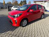 Kia Picanto 1.2 Dream-Team Edition  - Kia Picanto in Ludwigshafen