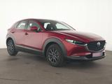 Mazda CX-30 SKYACTIV-G LED|ACC|HeadUp|Navi|Klima - Mazda CX-30 Gebrauchtwagen in Köln