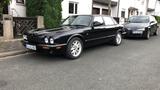 Jaguar X308 3.2 Sammlerstück 2.Hd Rostfrei... - Jaguar XJ8: 3.2