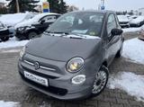 Fiat 500 1.0 Klima*Carplay*ZV - Fiat 500 Gebrauchtwagen in Leipzig