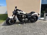 Benda CHINCHILLA 500 lagernd - CHOPPER 50