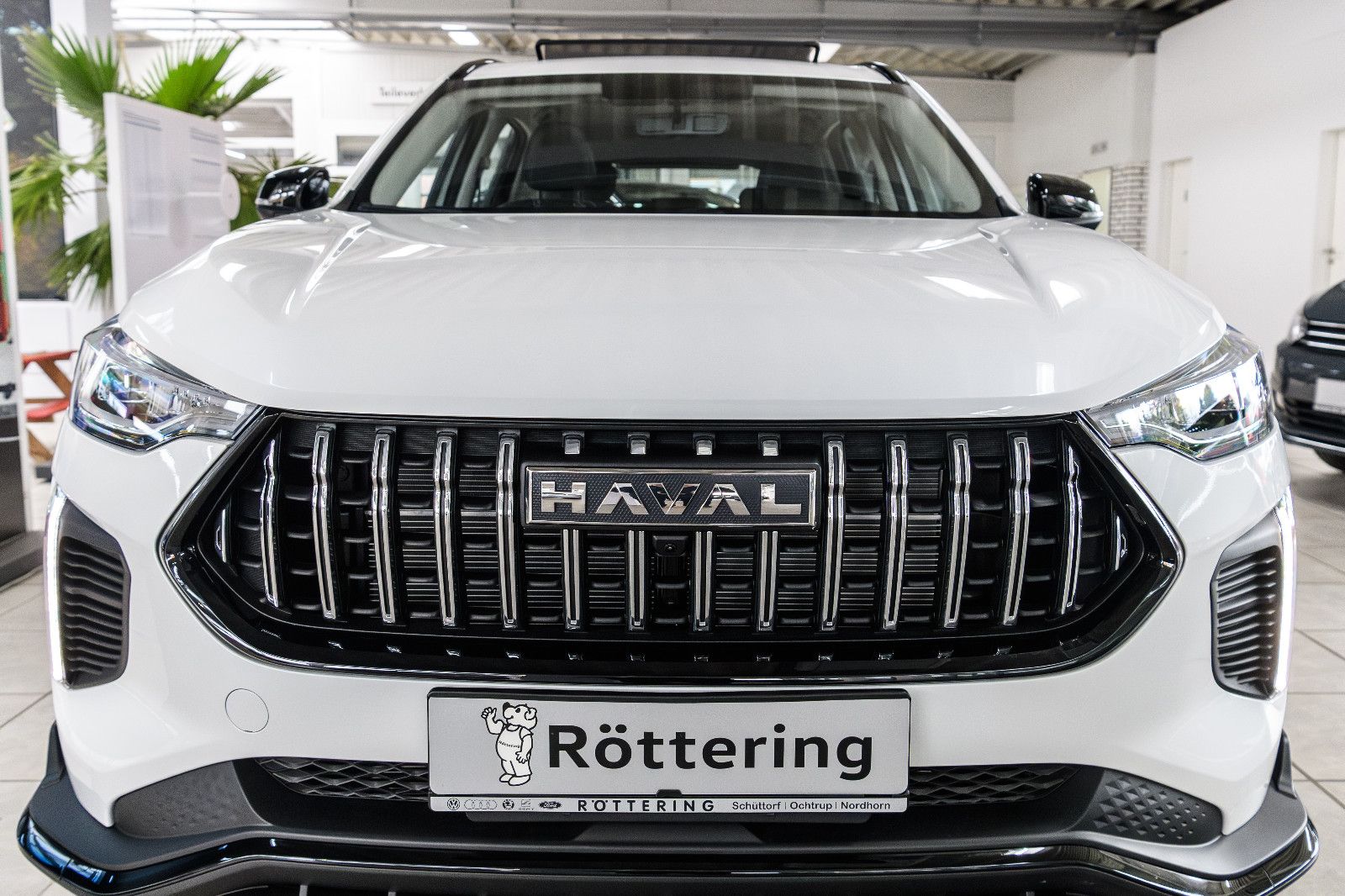 Fahrzeugabbildung GWM HAVAL Jolion Pro/Panorama/LED/LM/360