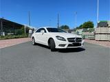 Mercedes-Benz CLS 350 AMG Paket  - Mercedes-Benz: Cls AMG