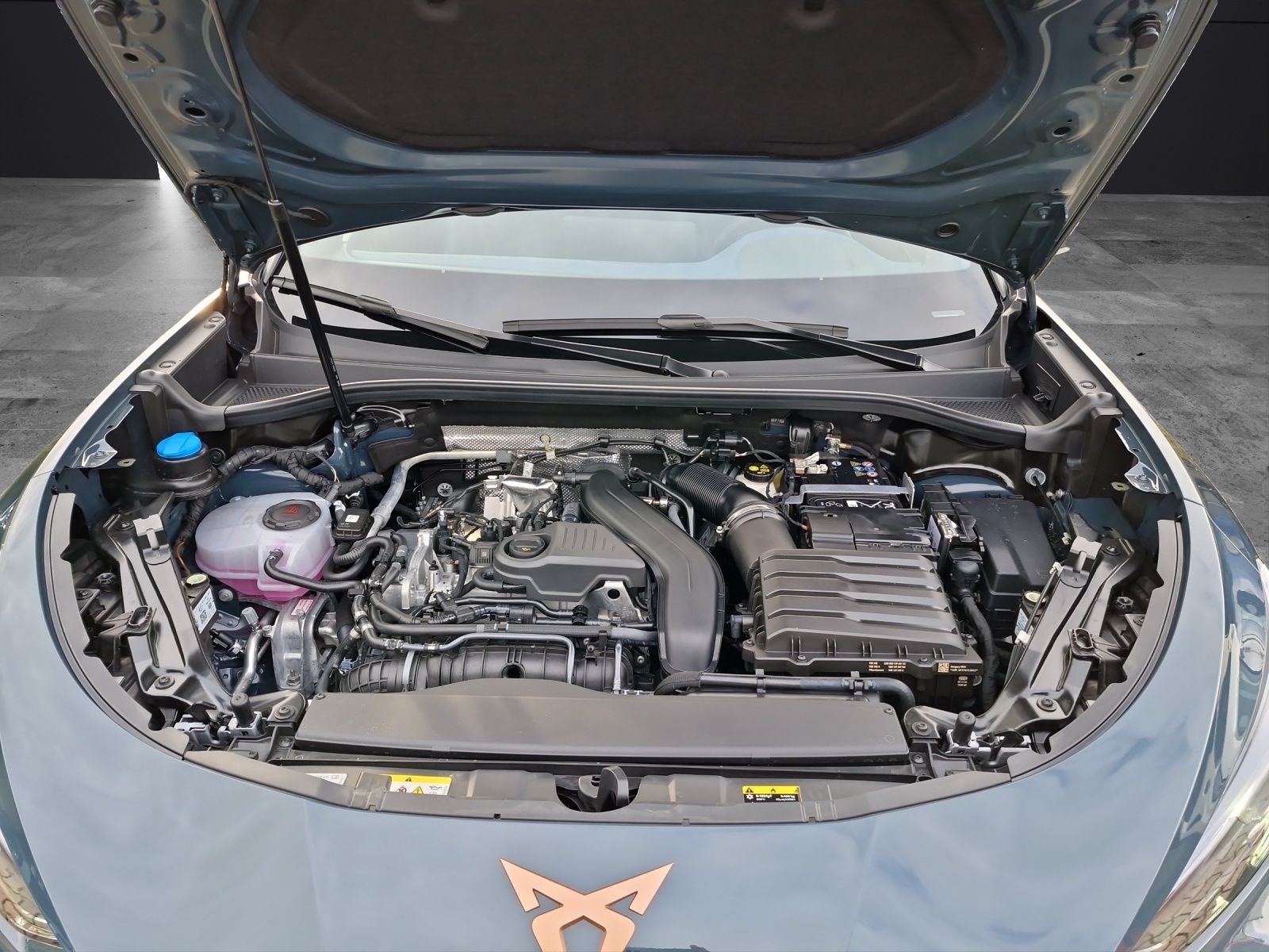 Fahrzeugabbildung CUPRA Terramar 1.5 eTSI DSG ACC AHK KAMERA