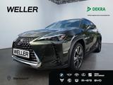 Lexus UX 250h Executive Line *LED*GSD*CAM*SHZ*CarPlay* - Lexus Gebrauchtwagen in Dortmund