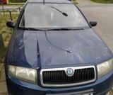 Skoda Fabia 6Y Benzin - Skoda Fabia 6Y mit Benzin-Antrieb