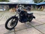 Harley-Davidson Sportster 883 XL1 - HARLEY-DAVIDSON 2003 SPORTSTER 883