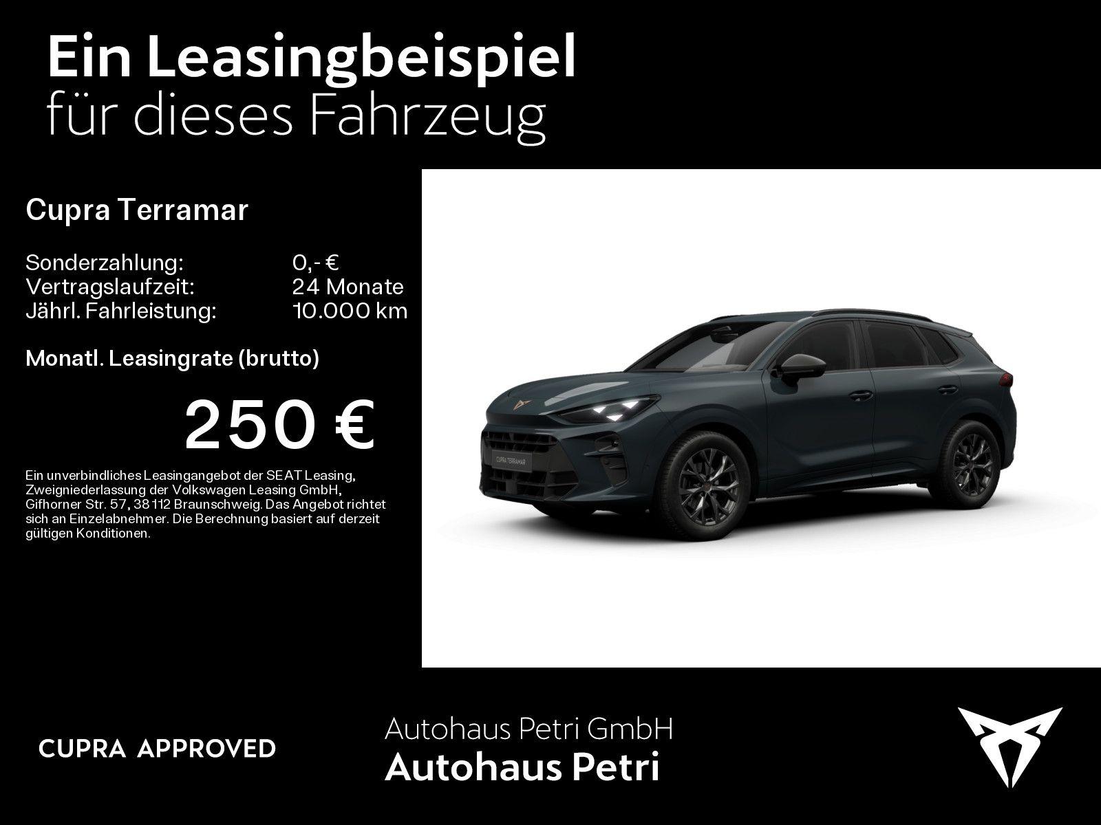 Cupra Terramar - Bild 2