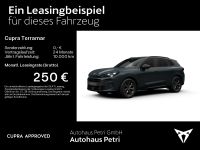 Cupra Terramar - Vorschau Bild 2