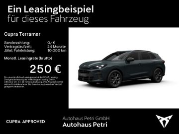 Cupra Terramar - 2