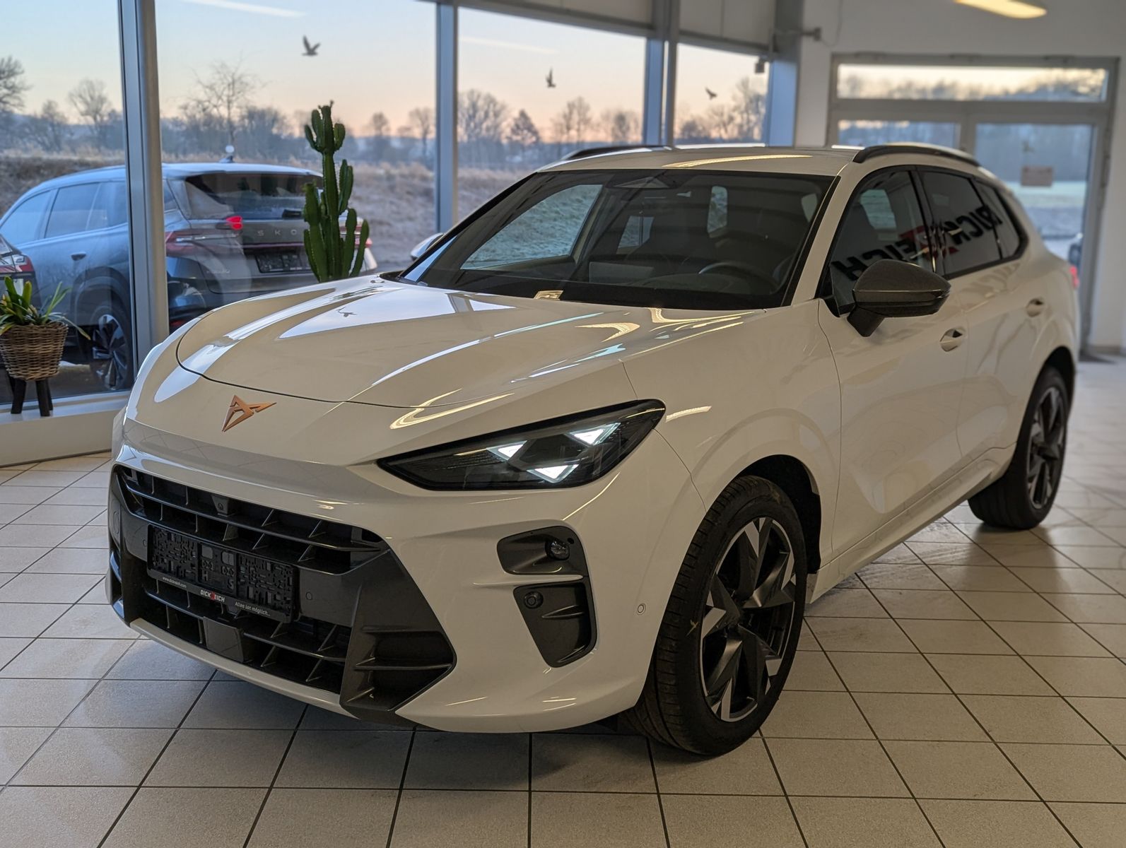 CUPRA Terramarr 1.5 eTSI Dinamica Edge-Paket HUD 19" - Image 3