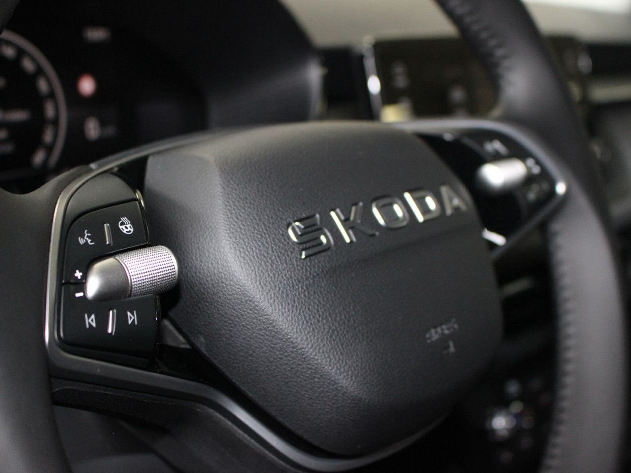 Fahrzeugabbildung SKODA Fabia 1.0 TSI Selection DSG/CAM/PDC/WINTER