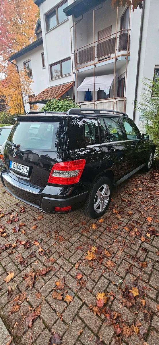 Mercedes-Benz GLK220 2009 — photo 8