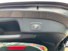 FORD Focus Turnier 1.0 ST-Line X*LED*Navi*DAB*Leder