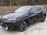 Lexus UX 250h Style Edition Style Edition - Lexus UX aus 2022