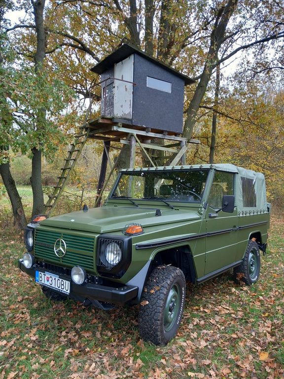 Mercedes-Benz G 250