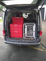 Nissan NV200 Evalia - Tolles Familienauto - : Van, Familienauto