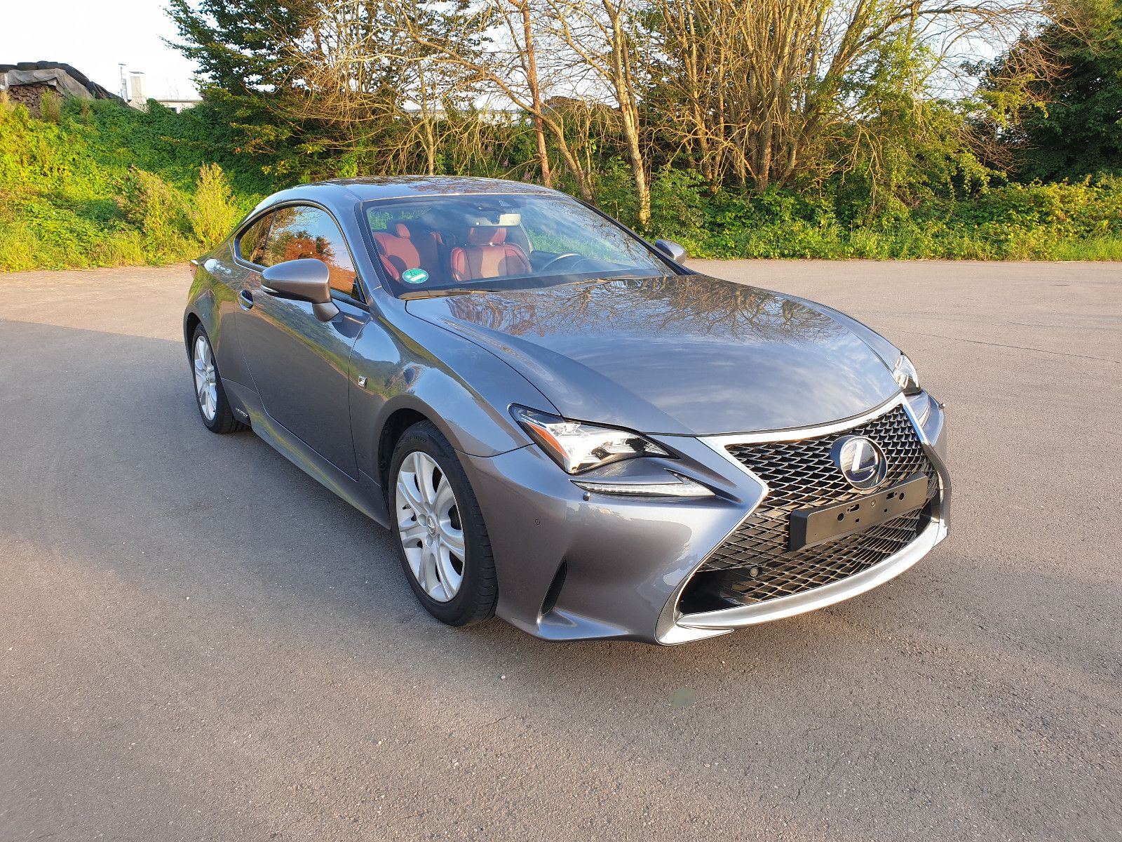 LEXUS RC 300