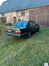 Mercedes-Benz Mercedes W124 300TD Turbodiesel 4Matic Ren... - Mercedes-Benz 300: 4matic