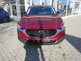Mazda CX-30 2.5L e-SKYACTIV G 140 6MT FWD Homura - gebrauchte Mazda SUV & Geländewagen