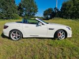 Mercedes-Benz SLK 250 BlueEFF. Edition 1 Autom. Edition 1 - Mercedes-Benz SLK 250 Gebrauchtwagen