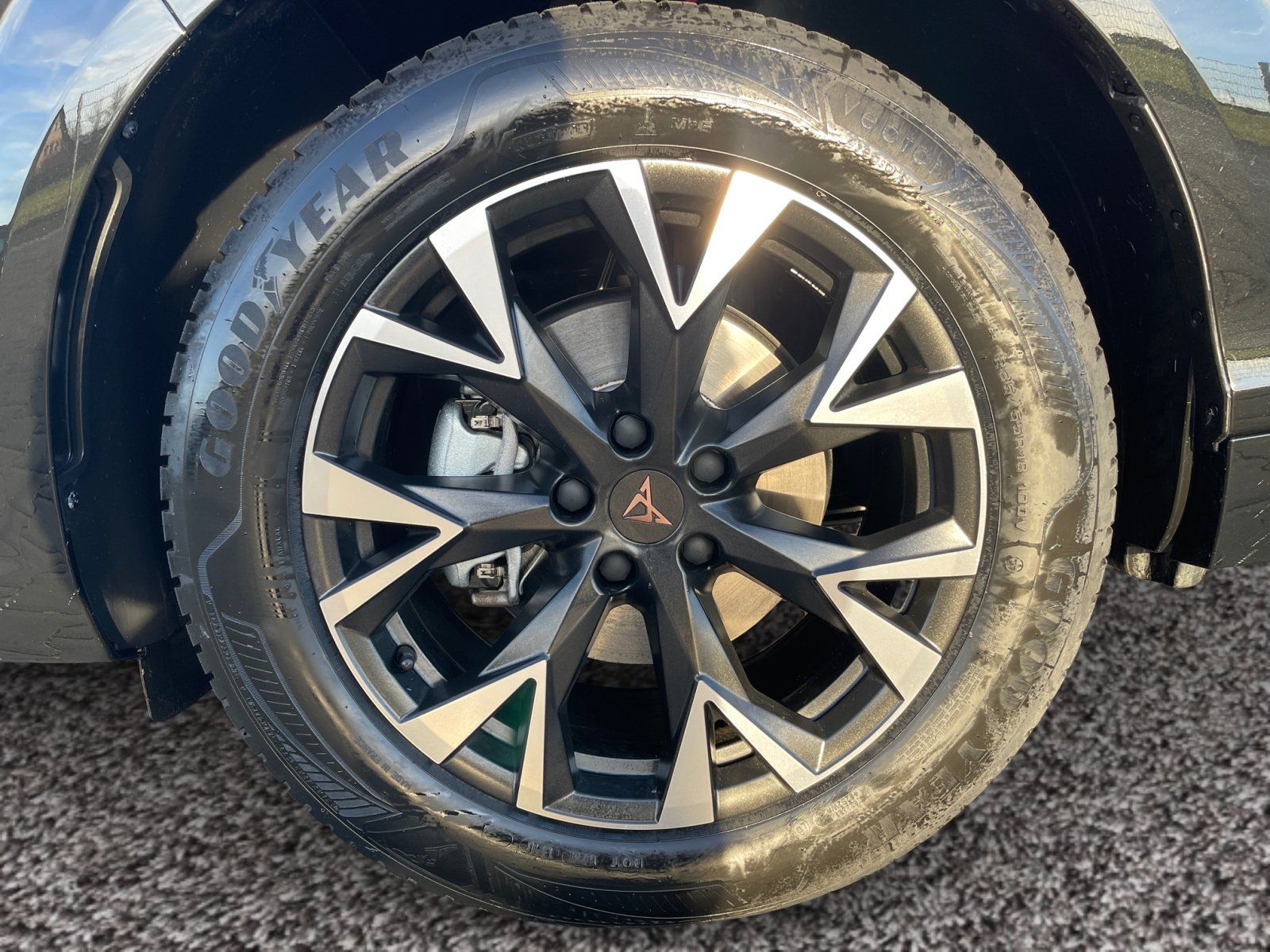 Cupra Terramar - Bild 7