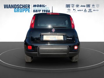 Fiat Panda Hybrid 1.0 GSE Klma+DAB+Isofix+Allwetter