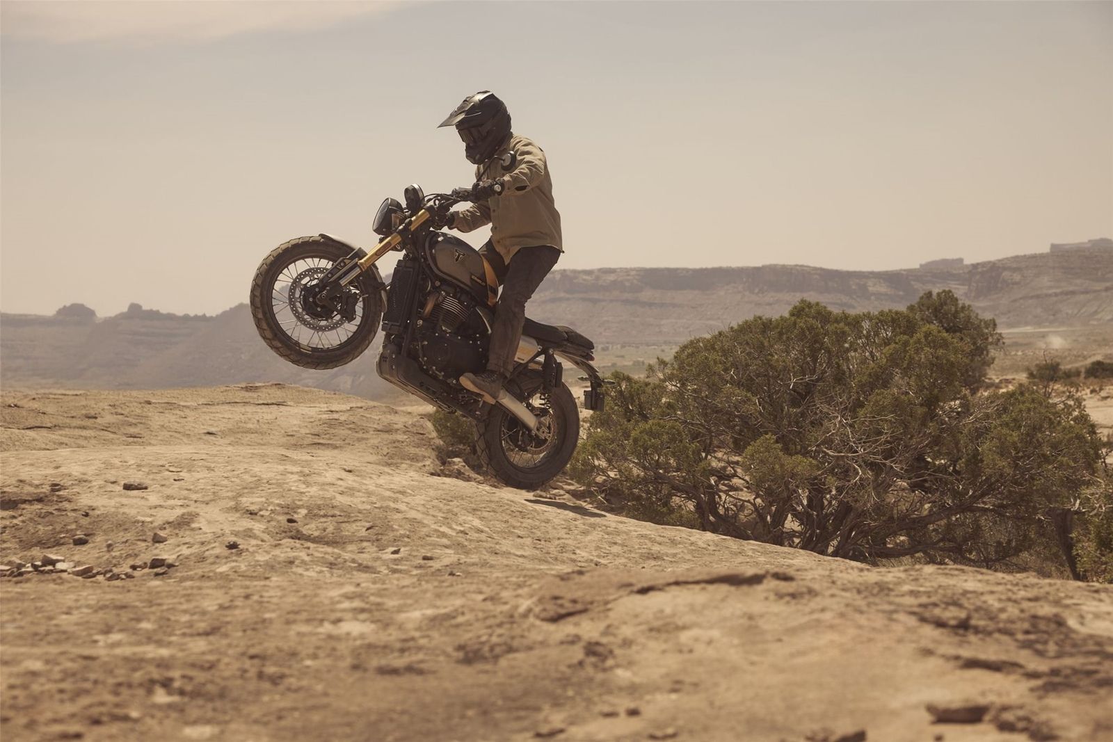 Fahrzeugabbildung Triumph Scrambler 900