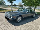 Jaguar XJ Oldtimer - Jaguar: Old