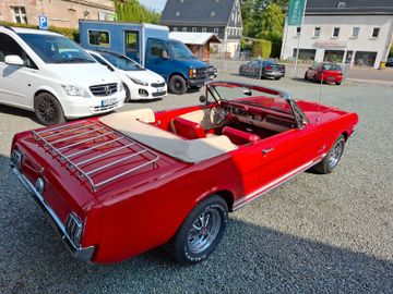 Ford Mustang Cabrio *Leder*Elektr. Verdeck*