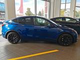 Tesla Model Y Long Range Dual Motor AWD Long Range - Tesla Model Y in Ludwigshafen