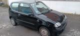 Fiat Seicento 1.1 Brush Plus - Fiat Seicento in Essen