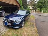 Mercedes-Benz E 350 BlueTEC 4MATIC T ELEGANCE ELEGANCE - Mercedes-Benz E 350 in Magdeburg