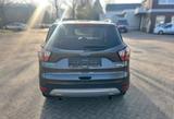Ford Kuga 1.5 EcoBoost 2x4 Business Edition - Ford Gebrauchtwagen in Oldenburg