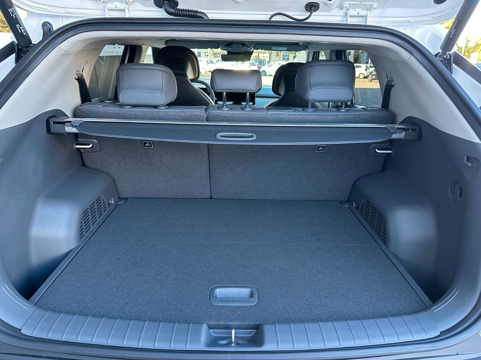 Fahrzeugabbildung Kia EV3 81.4 EARTH WIC UPG DWP