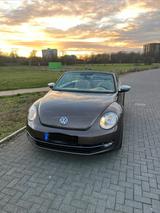 Volkswagen Beetle 1.2 TSI 70's BMT Cabriolet 70's BlueM... - Volkswagen Beetle: Cabrio