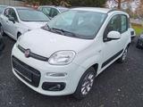 Fiat Panda Lounge Benzin/Erdgas - Fiat: Erdgas