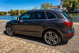 Audi SQ5 313 PS quattro | Neue Bremsen  Panorama