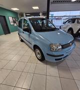Fiat Panda 1.2 8V MyLive - Fiat Panda Gebrauchtwagen in Frankfurt