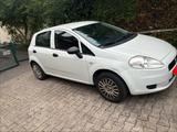Fiat Punto 1.2 Benziner  TÜV bis 12/2026 ... - Fiat Punto in Dortmund