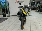 Suzuki DL650XT - SUZUKI ENDURO DL650