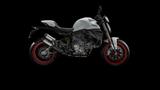 Ducati Monster + - DUCATI NEU MONSTER