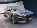 Andere FORD Kuga 2.0 EcoBlue 120 CV aut. 2WD ST-Line de - Andere aus 2024