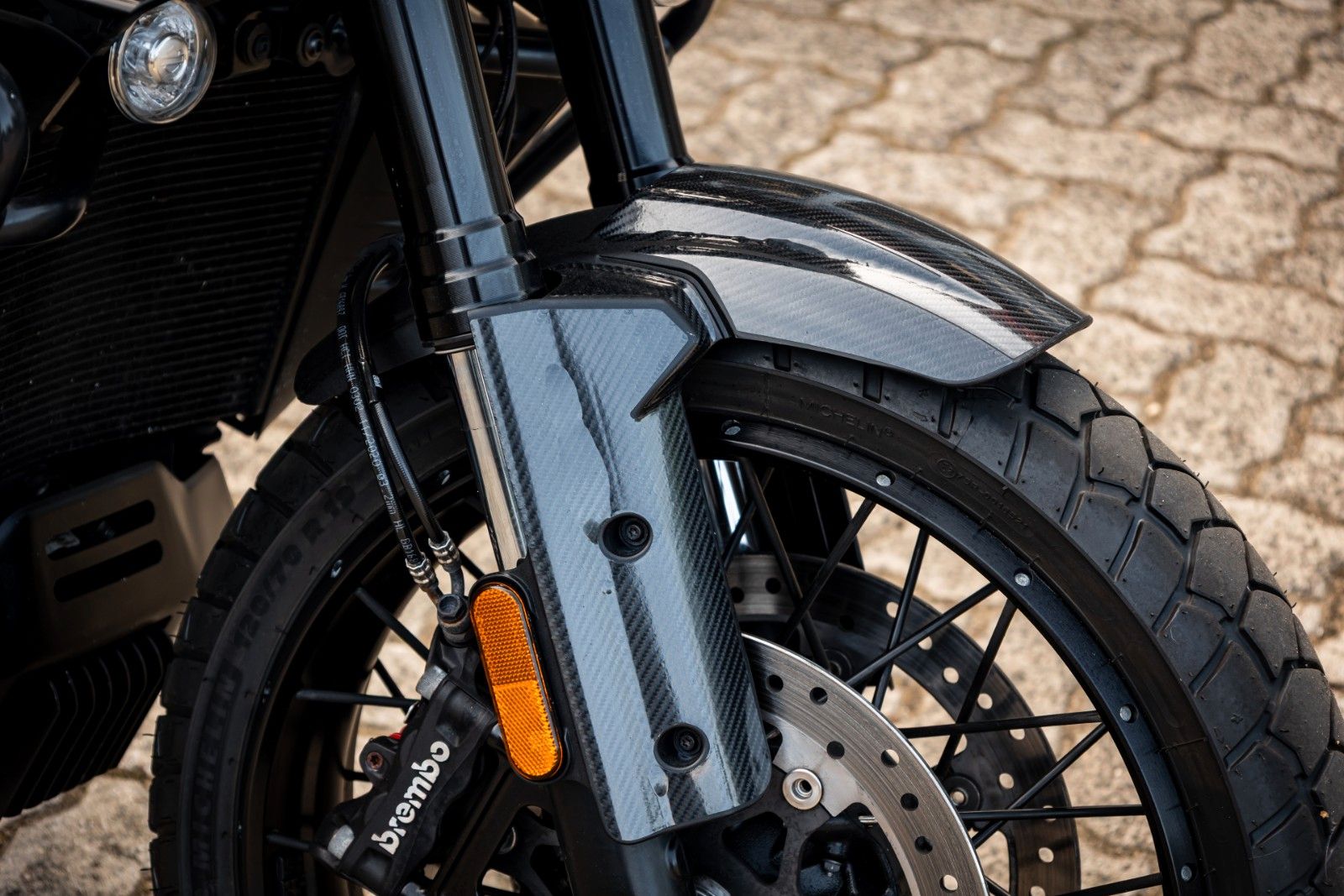 Fahrzeugabbildung Harley-Davidson RA1250S Pan America Special