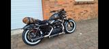 Harley-Davidson Forty-eight *Jackle and Hide Auspuff* - Angebote